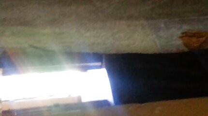 Negresses