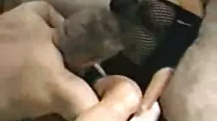 Bdsm fucking med Penelope sex video dansk Ka Ka