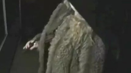 Cherie sextube dansk DeVille fik en strapon i sig selv fra en kurer.